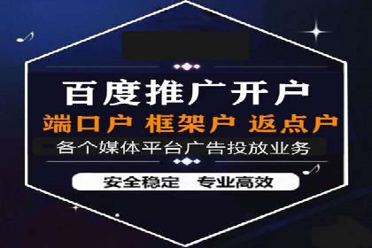 案例解读：SEM代理助力电商销量翻倍